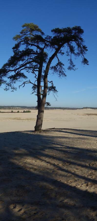 B&B Achterom Loon op Zand Exteriér fotografie